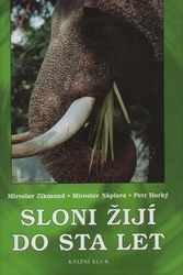 Sloni žijí do sta let