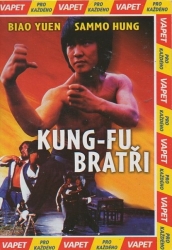 Kung-fu bratři, DVD